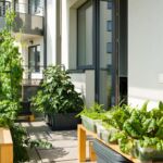 Maximize small outdoor spaces with smart garden design